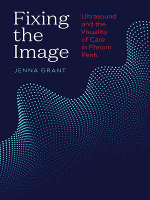 cover image of Fixing the Image